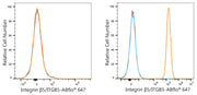 Integrin β5/ITGB5 Rabbit mAb