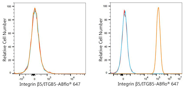 Integrin β5/ITGB5 Rabbit mAb