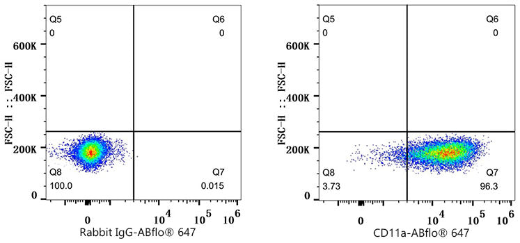CD11a Rabbit mAb