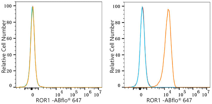 ROR1 Rabbit mAb