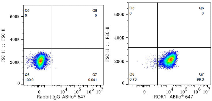 ROR1 Rabbit mAb