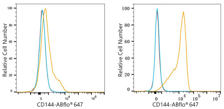 ABflo® 647 Rabbit anti-Mouse CD144/VE-Cadherin mAb
