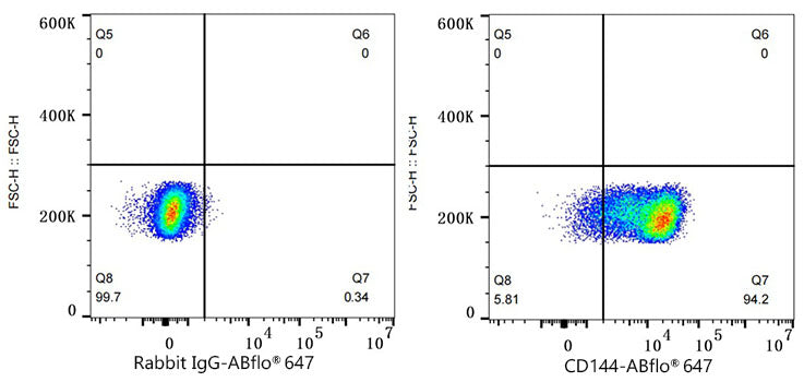 ABflo® 647 Rabbit anti-Mouse CD144/VE-Cadherin mAb