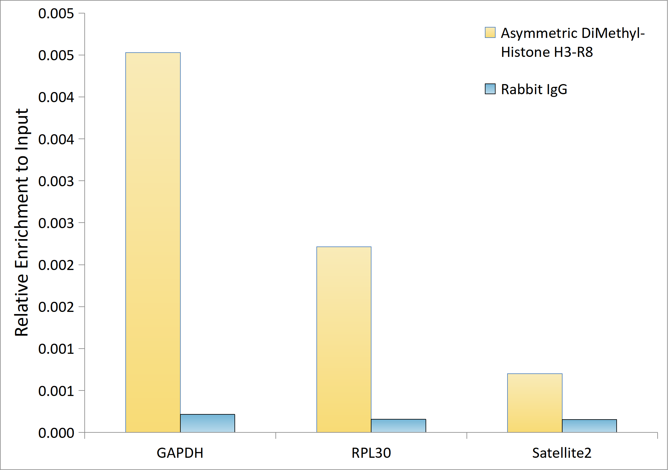 Asymmetric DiMethyl-Histone H3-R8 Rabbit pAb