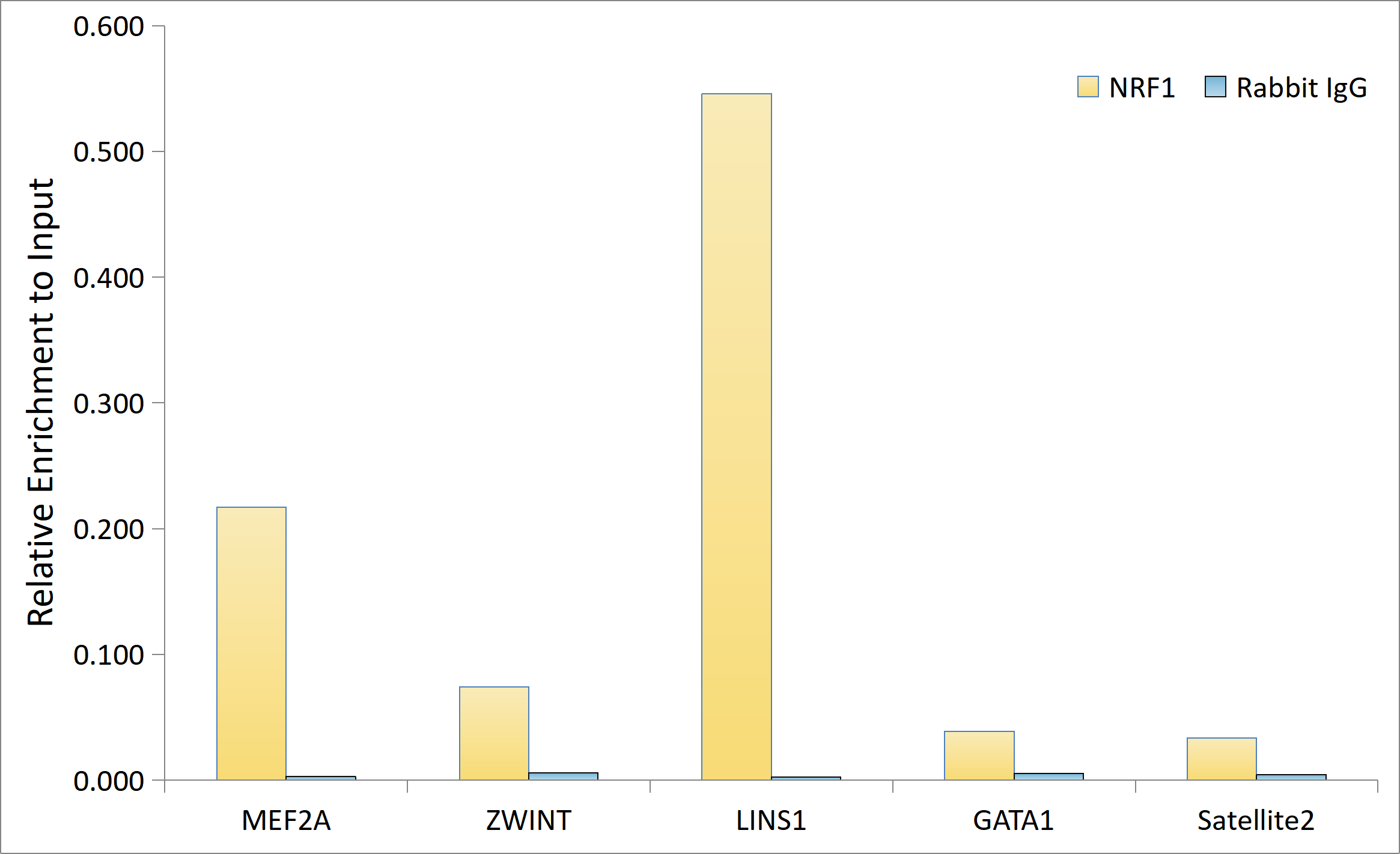 NRF1 Rabbit mAb