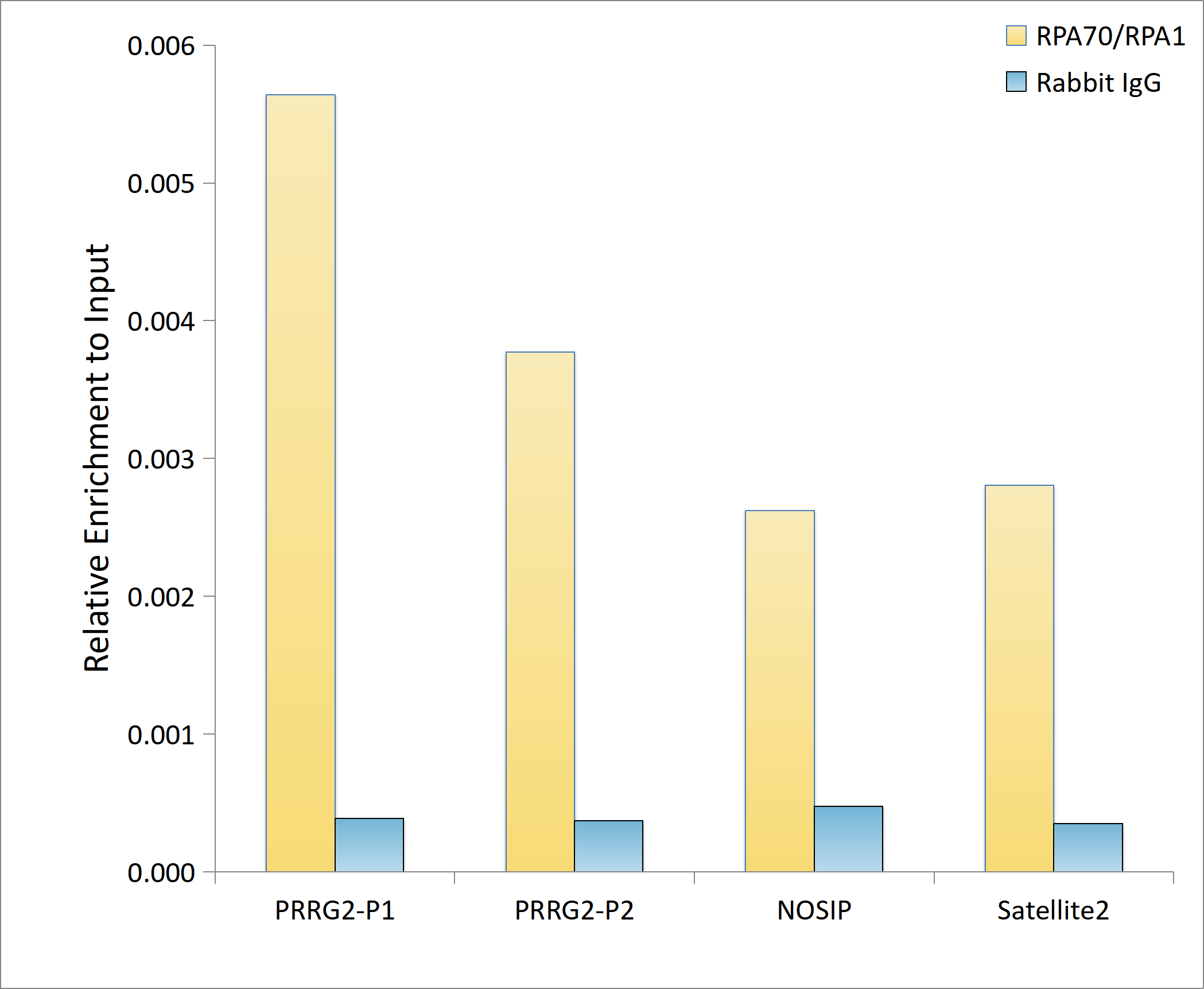 RPA70/RPA1 Rabbit mAb