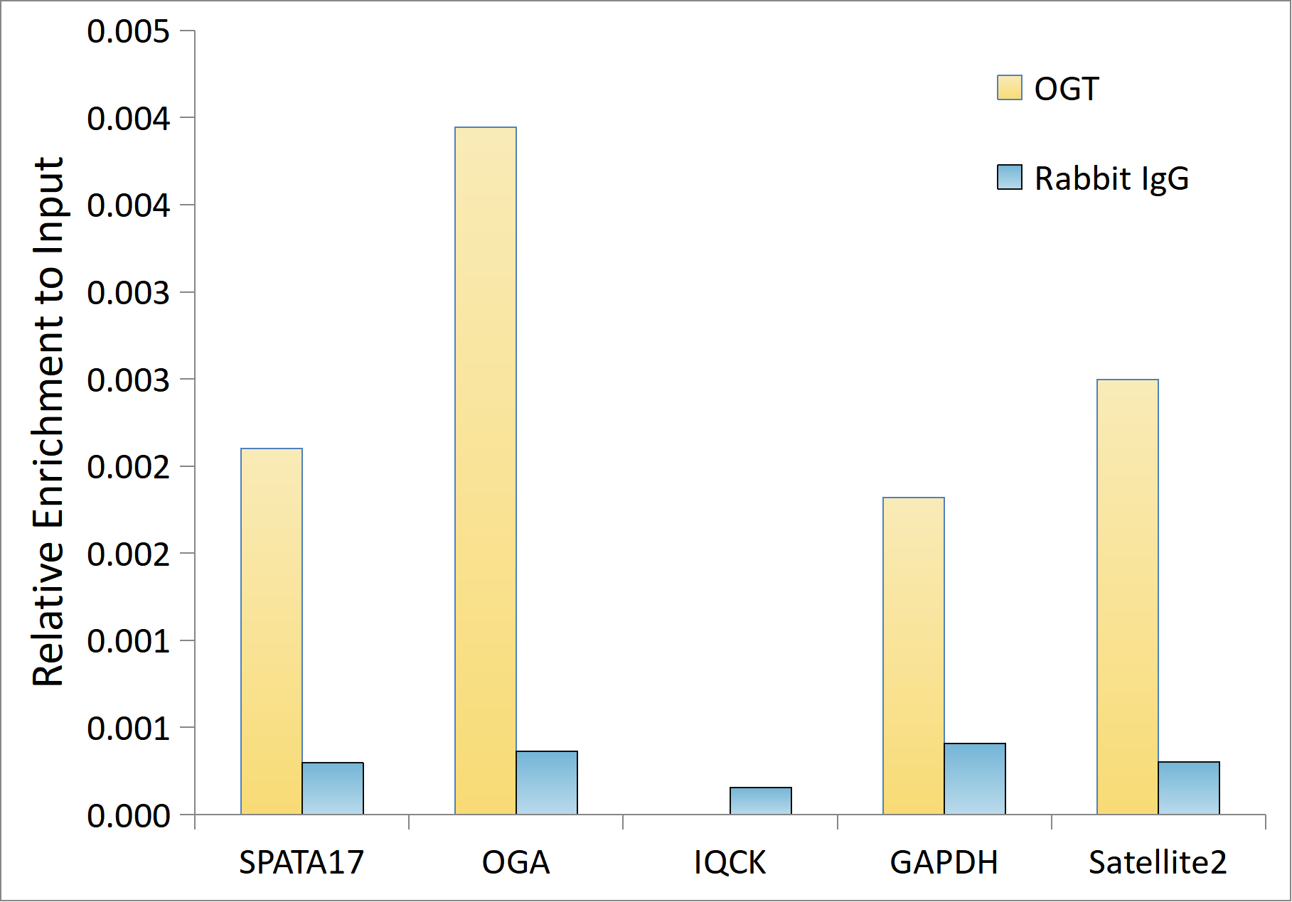 OGT Rabbit mAb