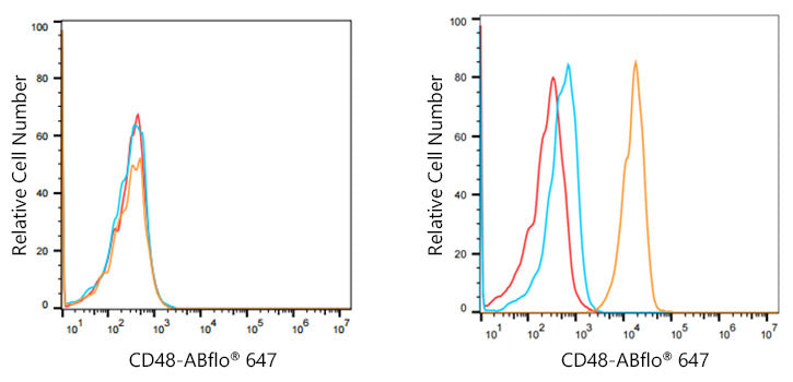 CD48 Rabbit mAb