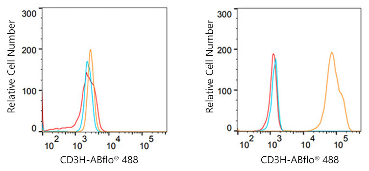 CD3G Rabbit mAb