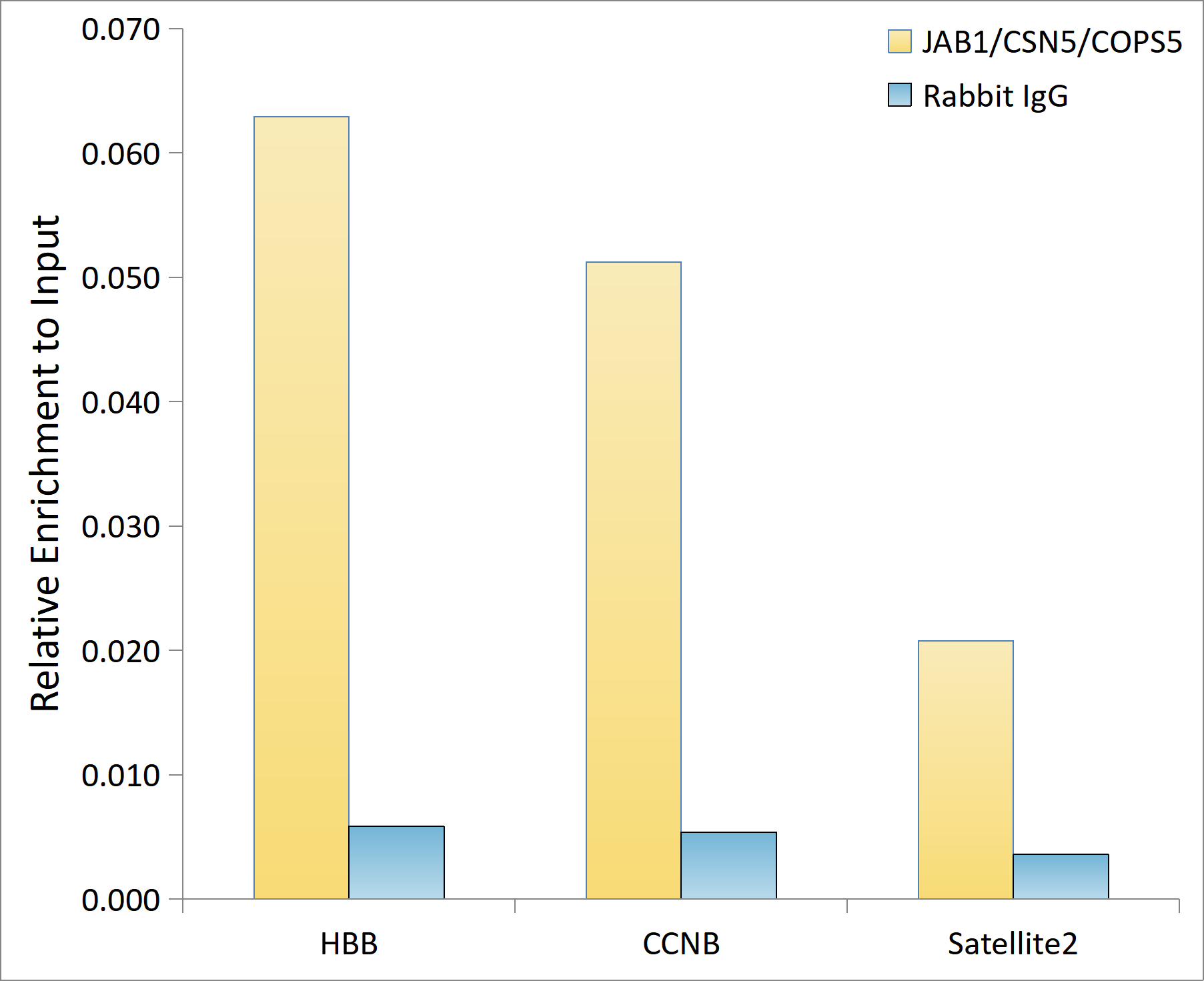 JAB1/CSN5/COPS5 Rabbit mAb