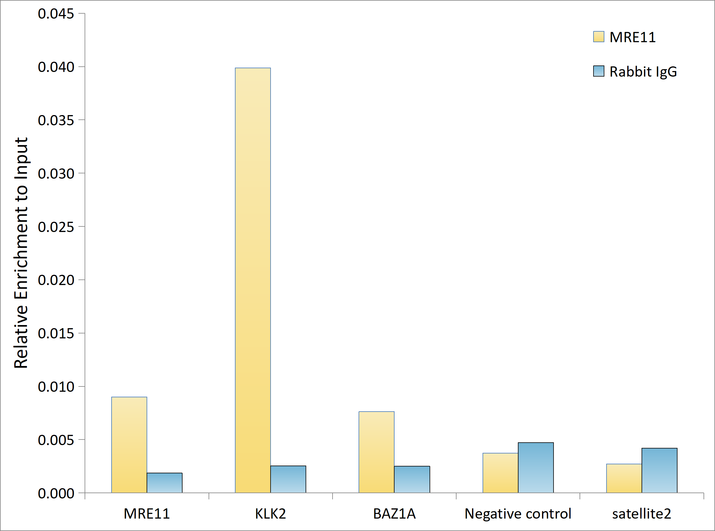 MRE11 Rabbit mAb