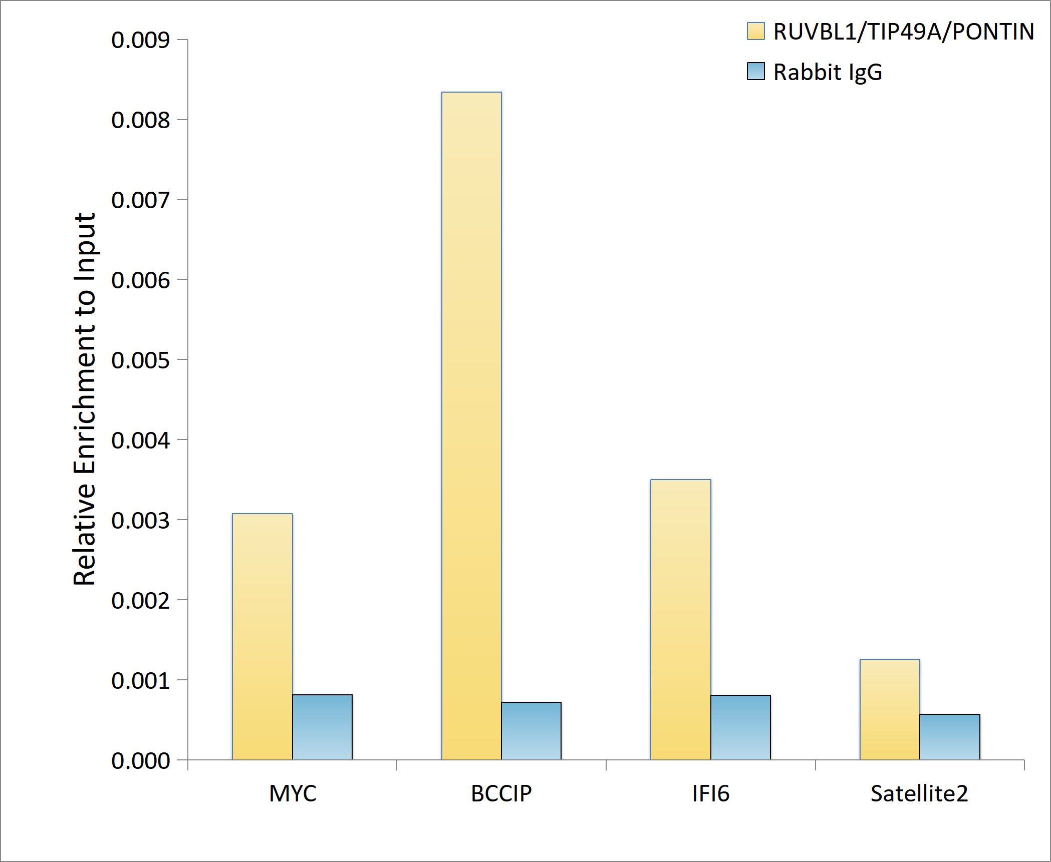 RUVBL1/TIP49A/PONTIN Rabbit mAb