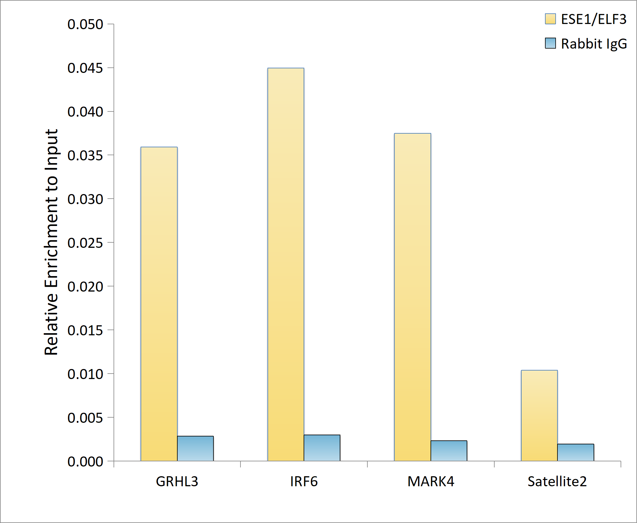 ESE1/ELF3 Rabbit mAb