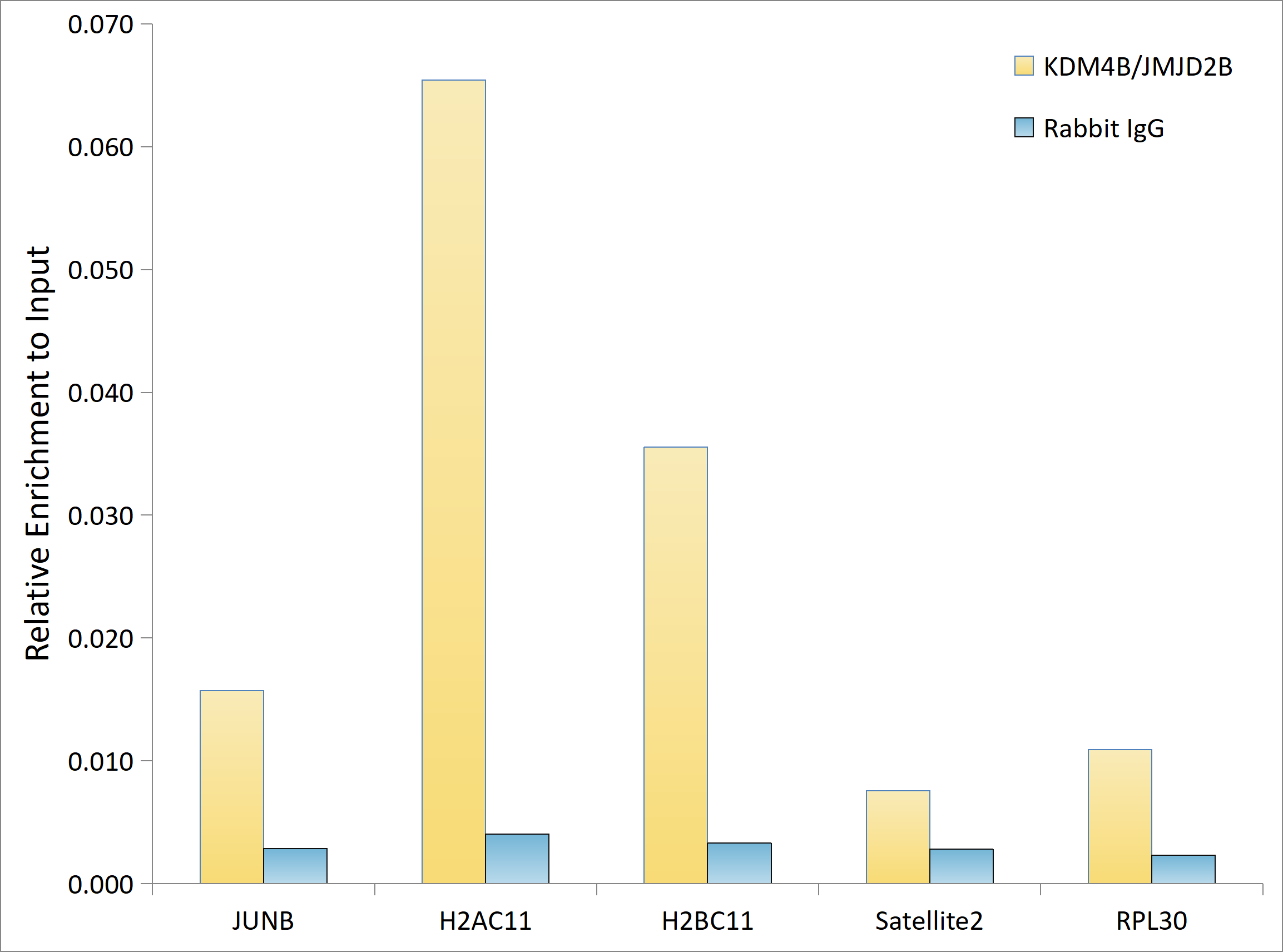 KDM4B/JMJD2B Rabbit mAb