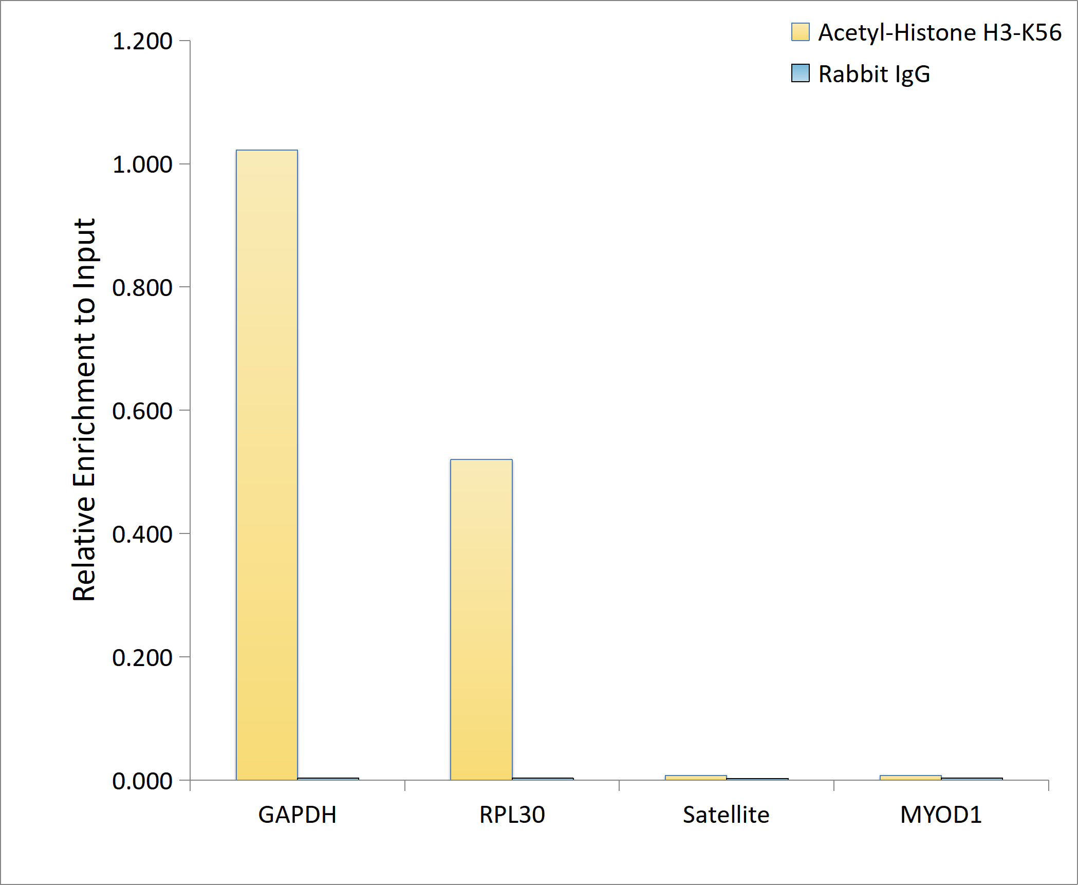 Acetyl-Histone H3-K56 Rabbit pAb