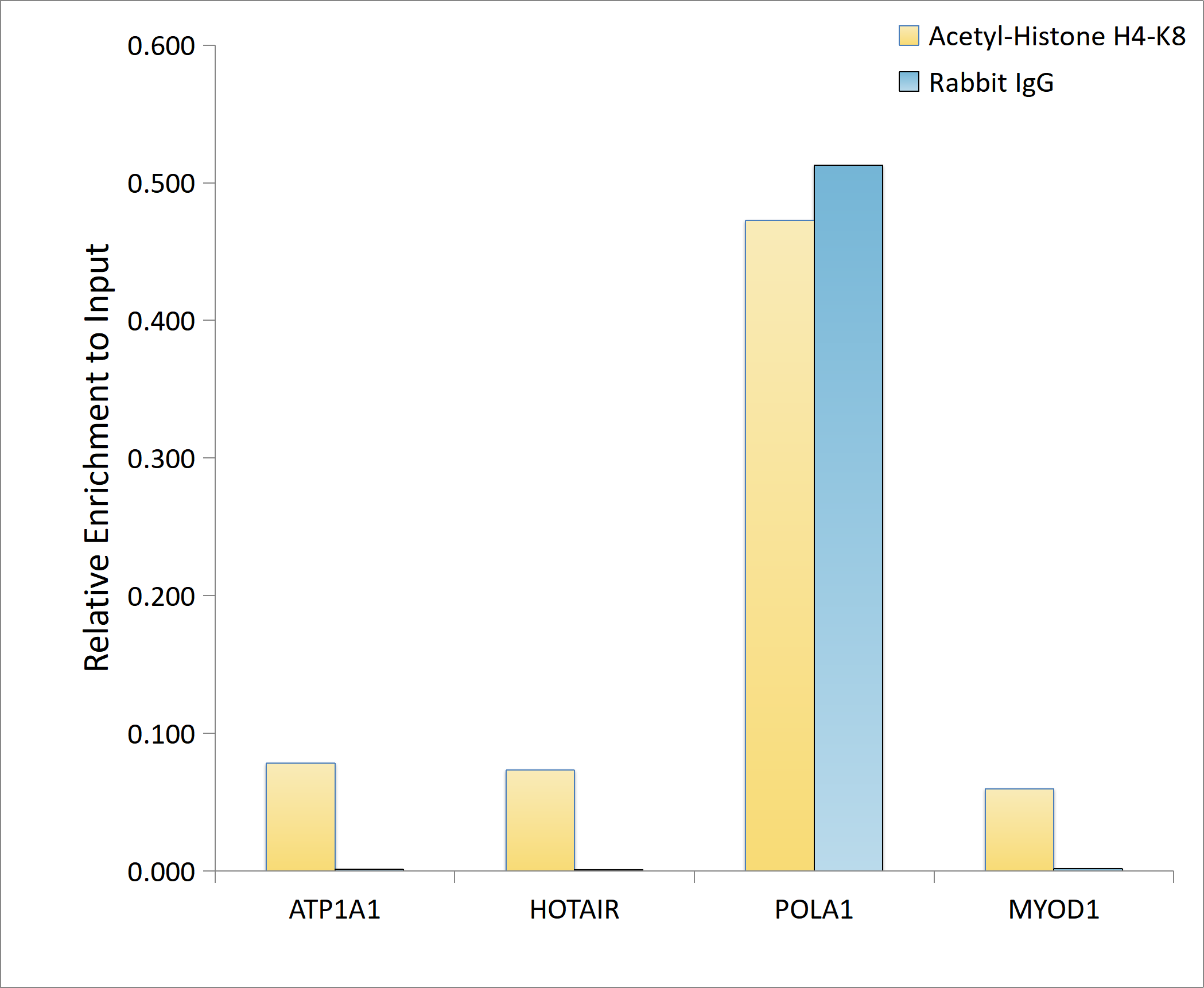 Acetyl-Histone H4-K8 Rabbit pAb