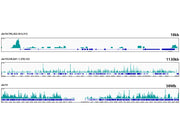 HMGB2 Rabbit mAb