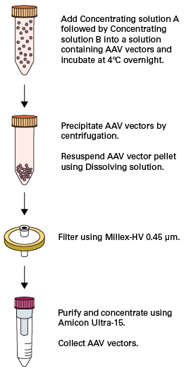 Efficient concentration of AAV particles from cell culture supernatant - Gene function - Takara Bio