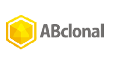 ABclonal