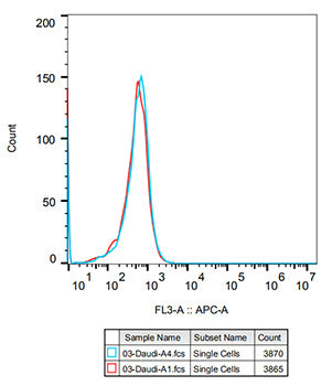 Rabbit IgG isotype control