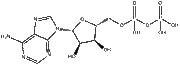 Adenosine 5'-diphosphate