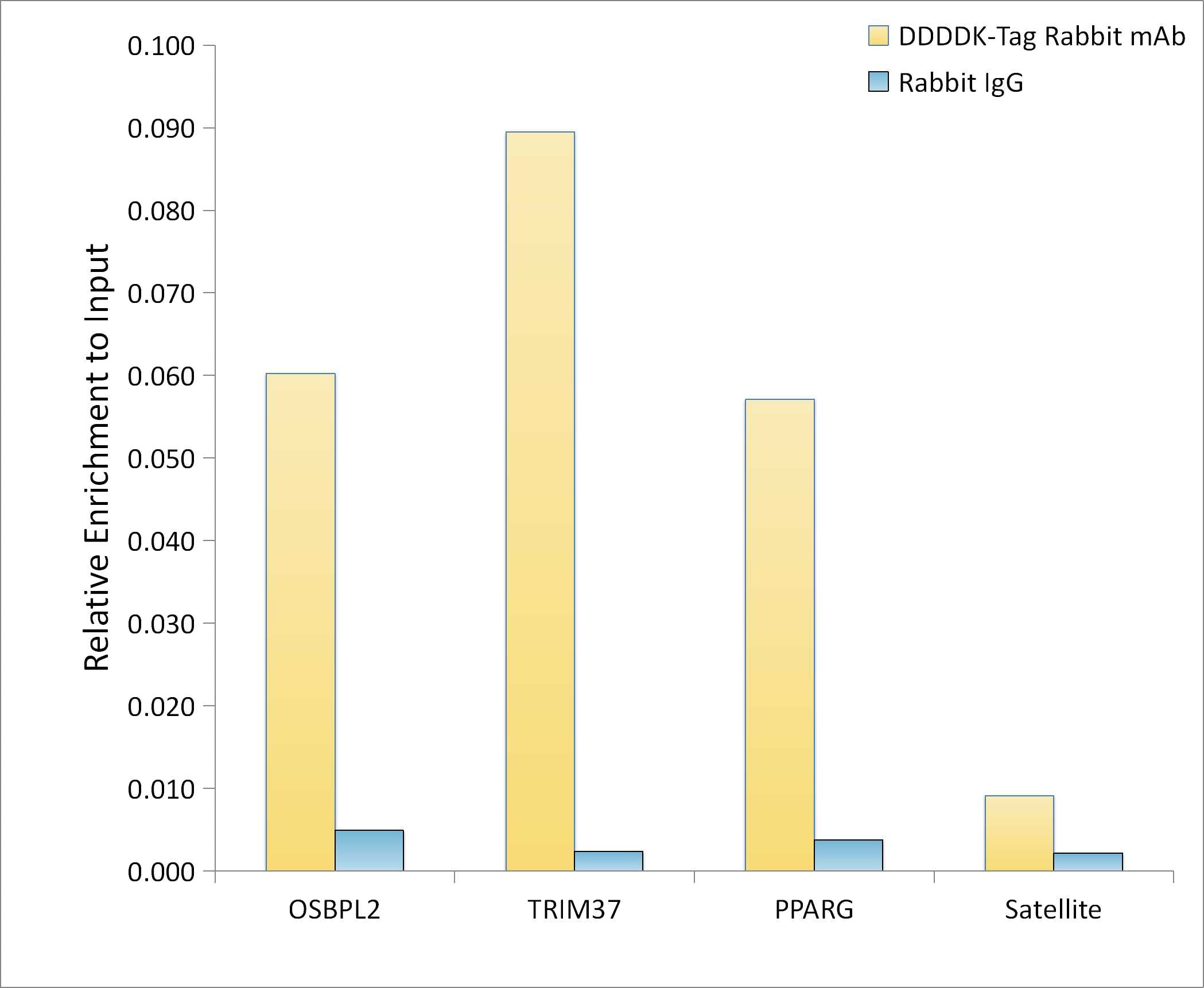 DDDDK-Tag Rabbit mAb