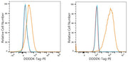 PE Mouse anti DDDDK-Tag mAb (C-terminal)