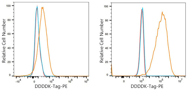 PE Mouse anti DDDDK-Tag mAb (C-terminal)