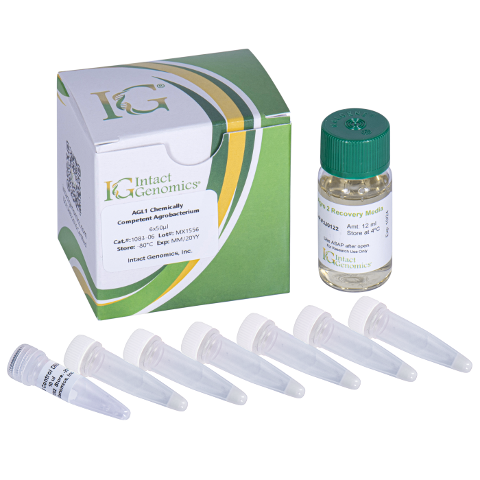 AGL1 Agrobacterium Chemically Competent Cells
