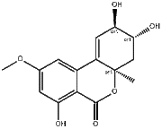 Altenuene
