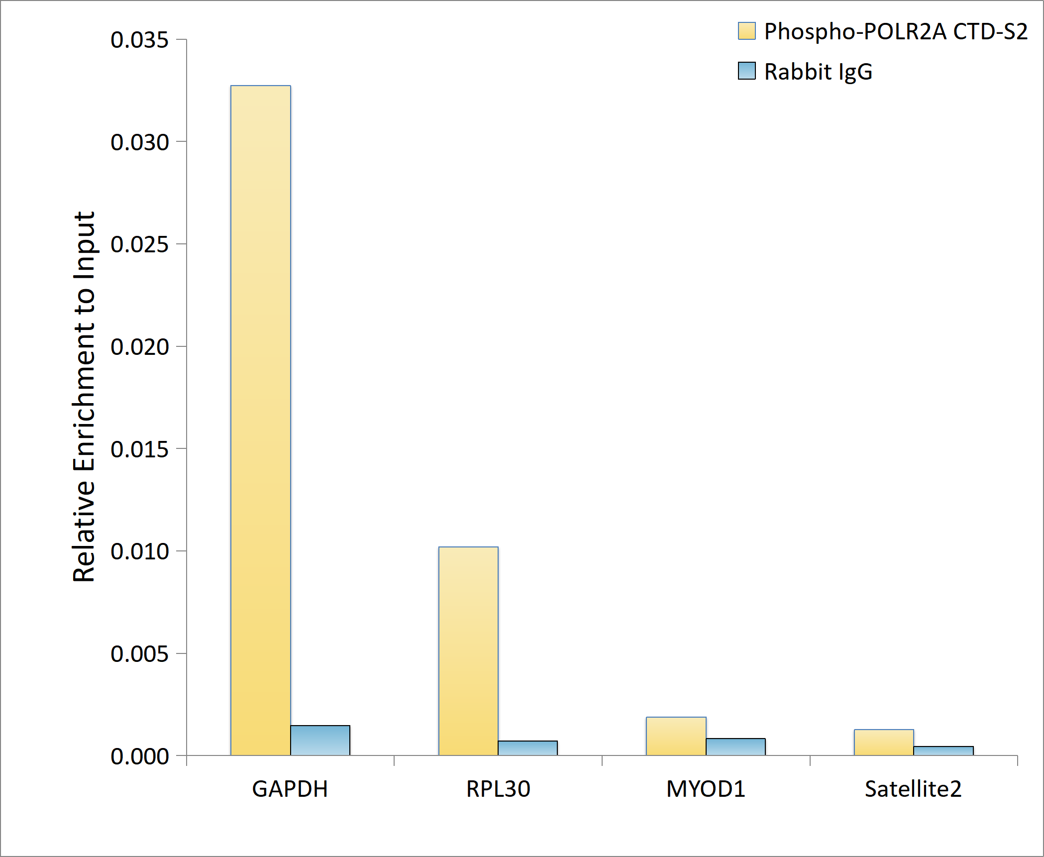 Phospho-POLR2A CTD-S2 Rabbit mAb
