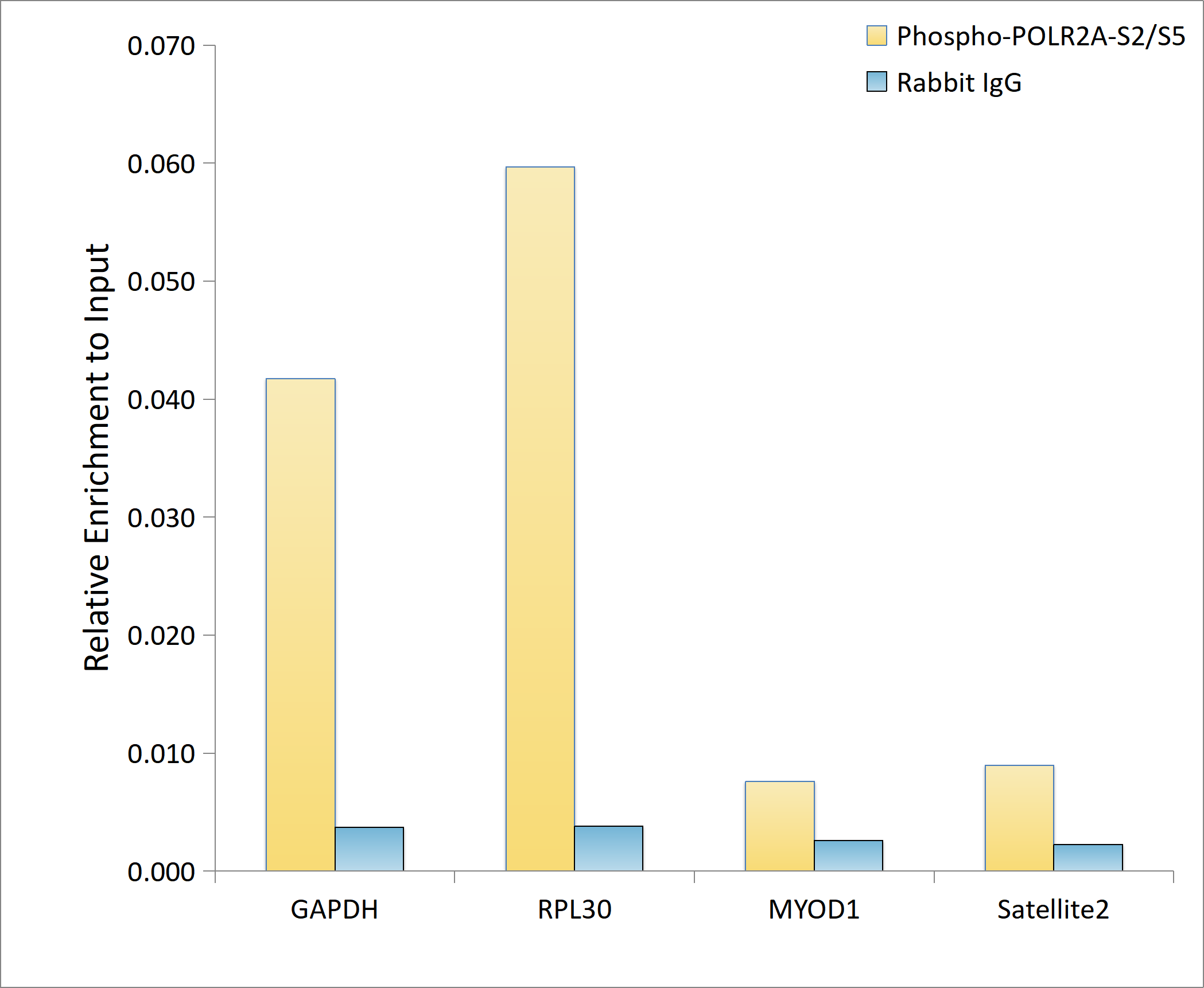 Phospho-Rpb1 CTD-S2/S5 Rabbit mAb
