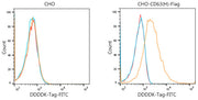 FITC-conjugated Goat anti-Mouse IgG (H+L)