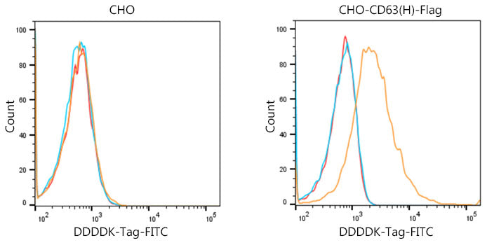 FITC-conjugated Goat anti-Mouse IgG (H+L)