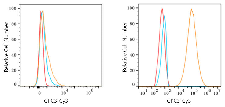 Cy3-conjugated Goat anti-Mouse IgG (H+L)