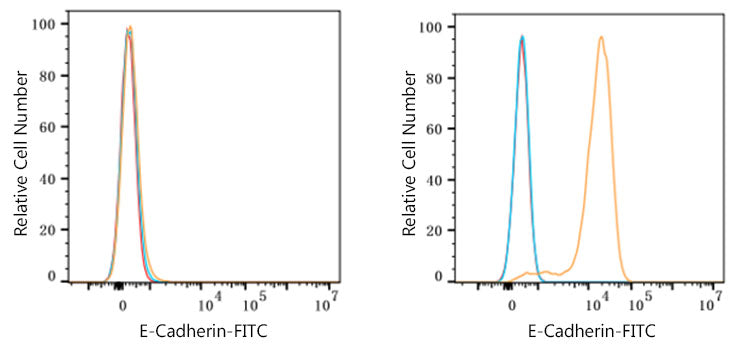 FITC-conjugated Goat anti-Rabbit IgG (H+L)