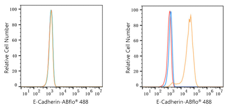ABflo® 488-conjugated Donkey anti-Rabbit IgG (H+L)