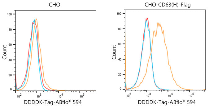 ABflo® 594-conjugated Goat anti-Mouse IgG (H+L)