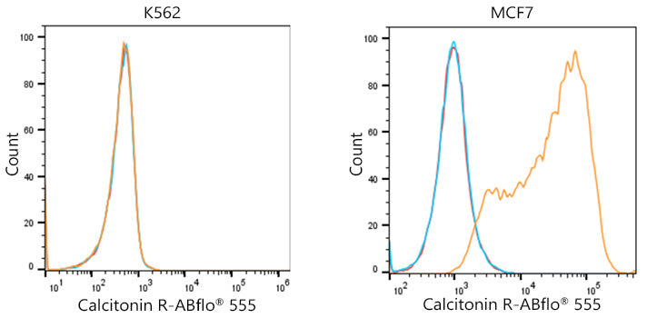 ABflo® 555-conjugated Goat anti-Mouse IgG (H+L)