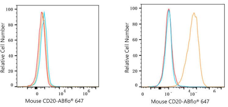ABflo® 647-conjugated Rabbit anti-Rat IgG (H+L)