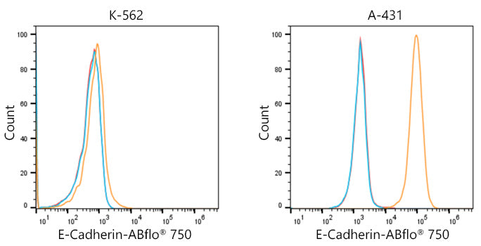ABflo® 750-conjugated Goat anti-Rabbit IgG (H+L)