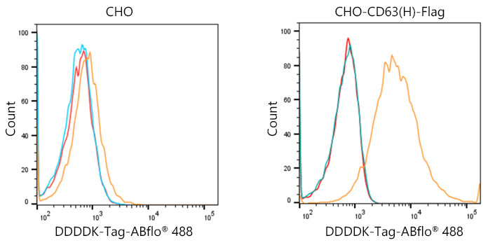 ABflo® 488-conjugated Goat anti-Mouse IgG (H+L)
