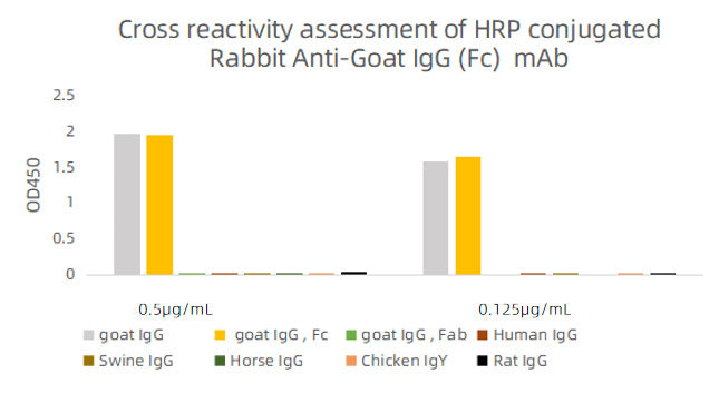 HRP-conjugated Rabbit anti-Goat IgG Fc mAb