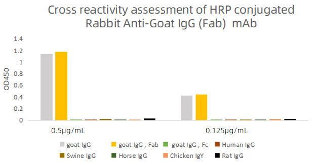 HRP-conjugated Rabbit anti-Goat IgG Fab mAb