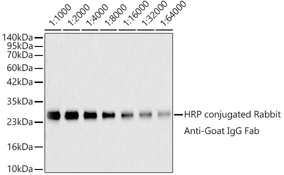 HRP-conjugated Rabbit anti-Goat IgG Fab mAb