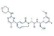 ERK1/2 inhibitor 2