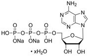 ATP disodium salt hydrate