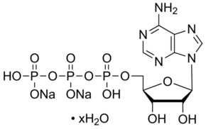ATP disodium salt hydrate