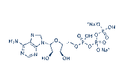 ATP disodium salt