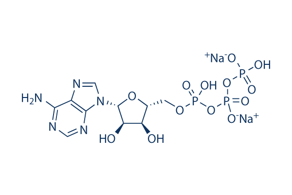 ATP disodium salt